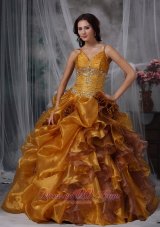 Brown Ball Gown Straps Organza Beading Quinceanera Dress